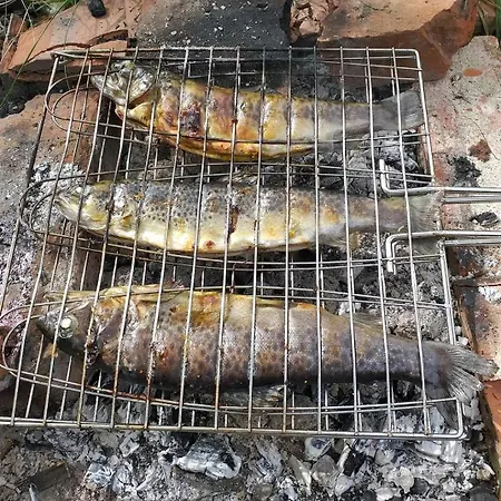 Ivana Vikendica,krupa Na Vrbasu * Banja Luka