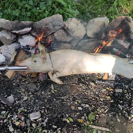 Ivana Vikendica,krupa Na Vrbasu Dağ evi *